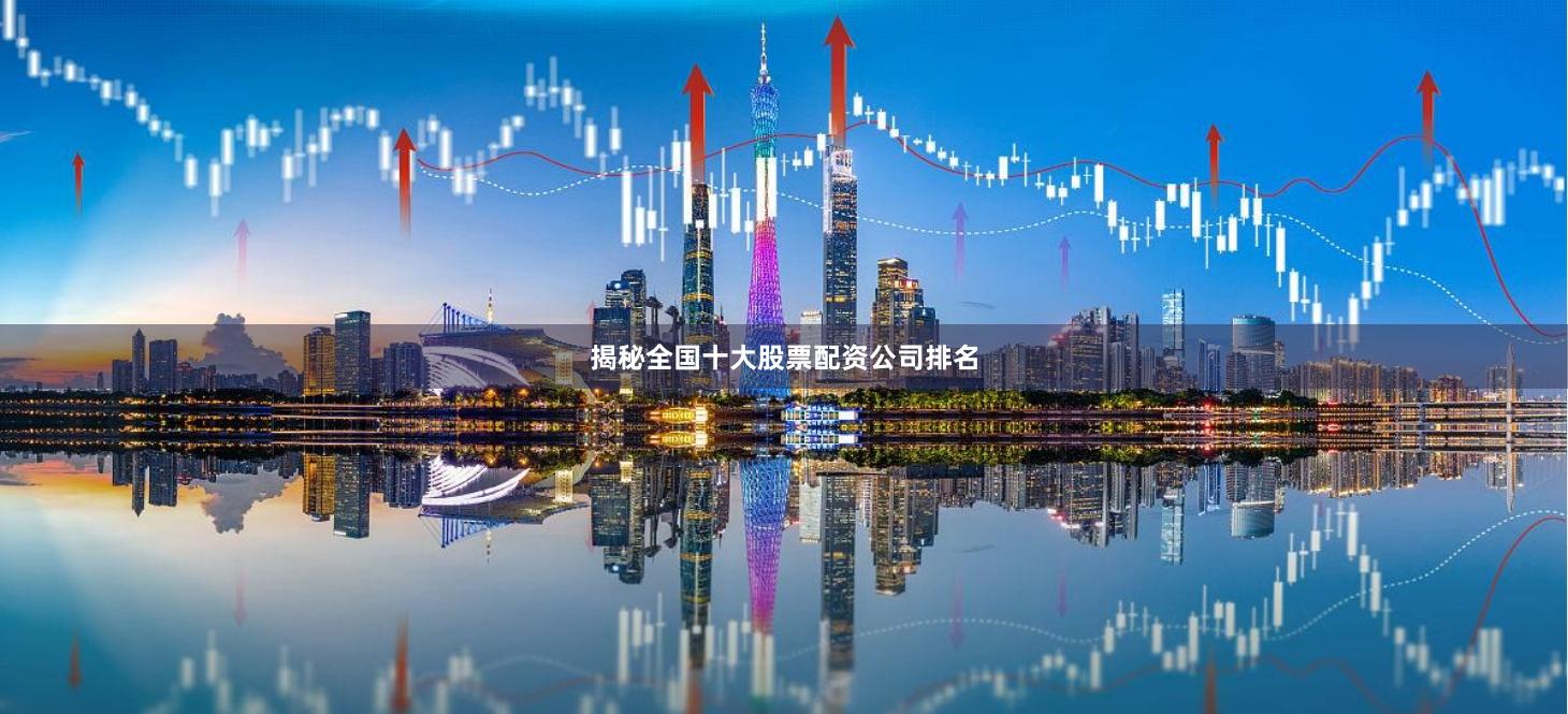 揭秘全国十大股票配资公司排名