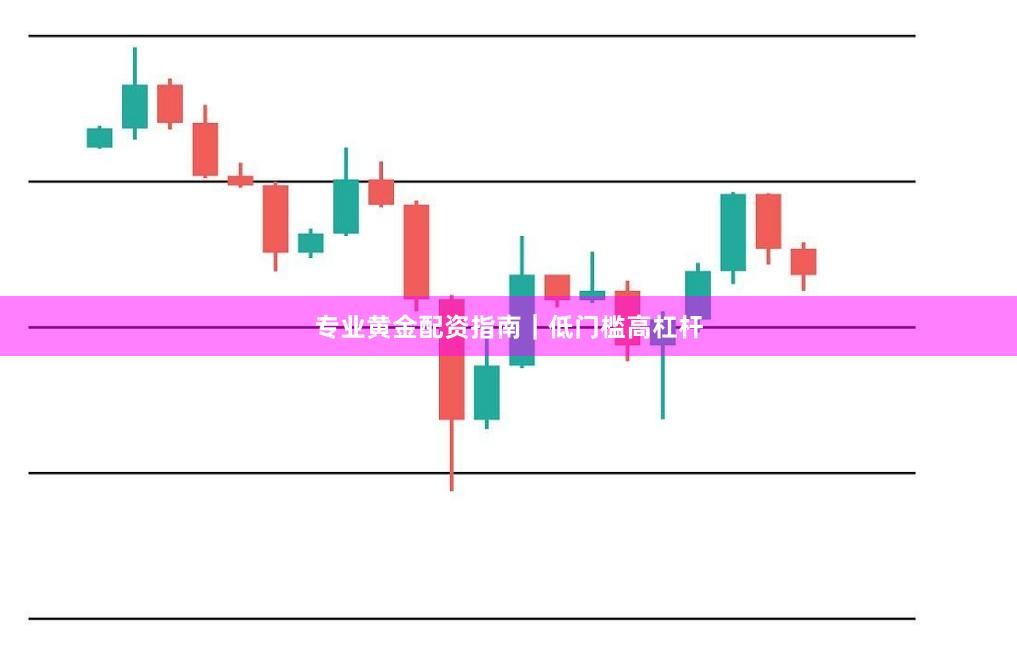 专业黄金配资指南｜低门槛高杠杆